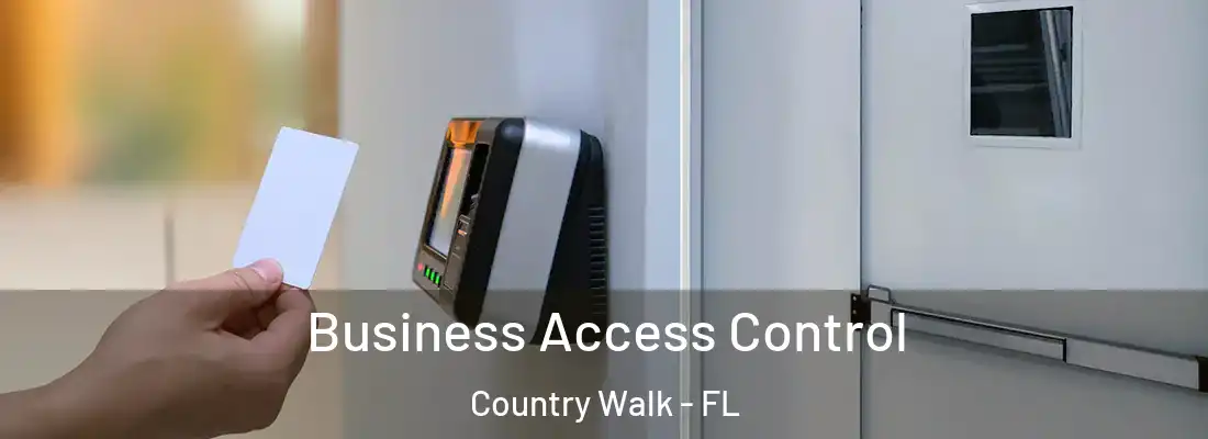 Business Access Control Country Walk - FL