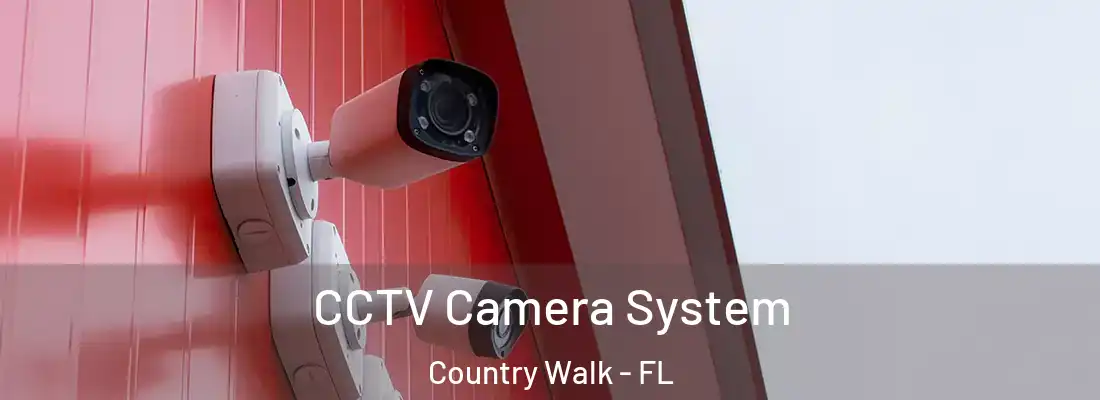 CCTV Camera System Country Walk - FL
