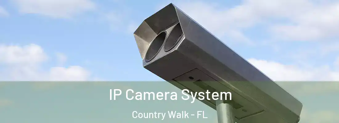  IP Camera System Country Walk - FL
