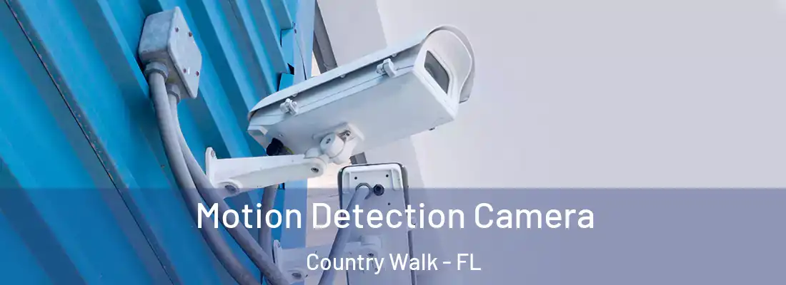 Motion Detection Camera Country Walk - FL