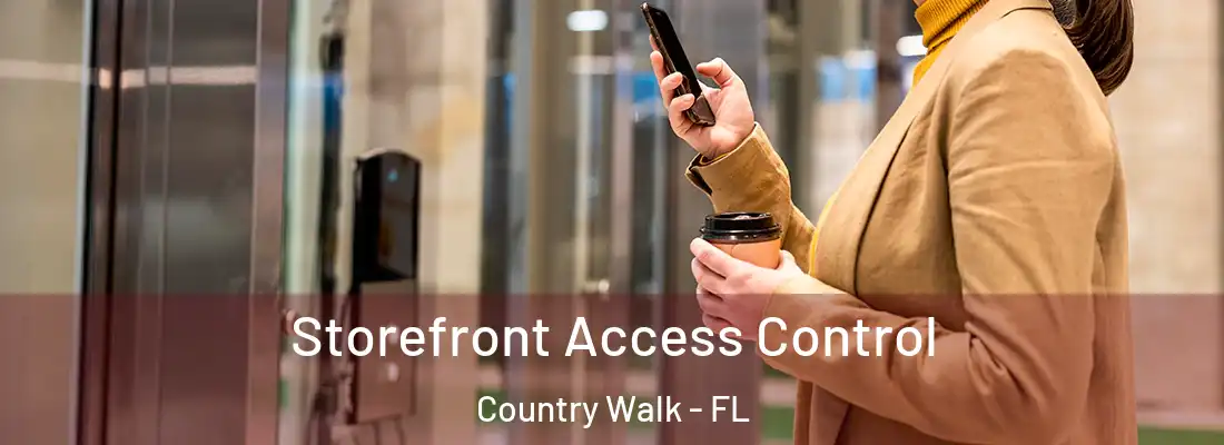 Storefront Access Control Country Walk - FL